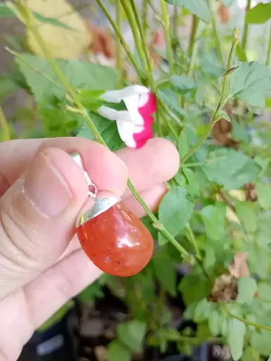 Dije Cornalina Rolada